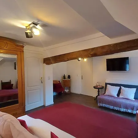 Manoir -1654- Historisch Schlafen In Monschaus Altstadt モンシャウ